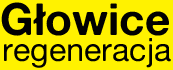 Głowice regeneracja